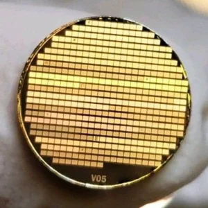 Circular gold Lunar Codex archival disc divided into a grid of microscopic storage sections